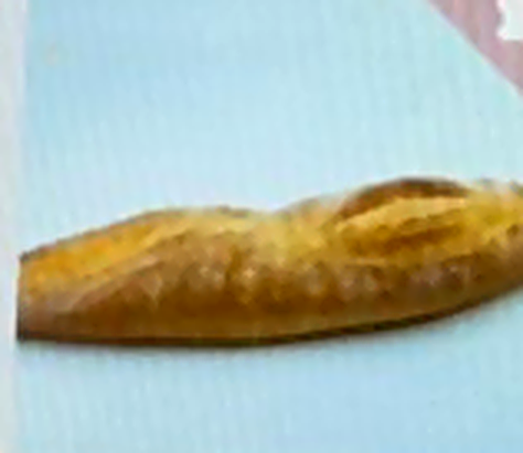 Baguettes
